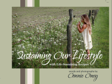 Sustaining Our Lifestyle cover